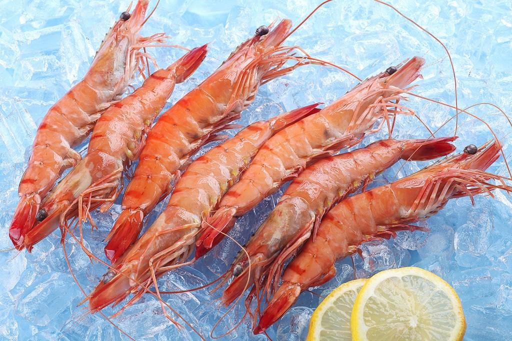 FROZEN COOKED HOSO BLACK TIGER PRAWN