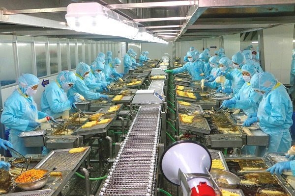 Employees process shrimp products at a firm located in Can Tho City’s Tra Noc Industrial Zone. Takesho has invested US$8 million in a shrimp byproducts processing plant- PHOTO: TRUNG CHANH