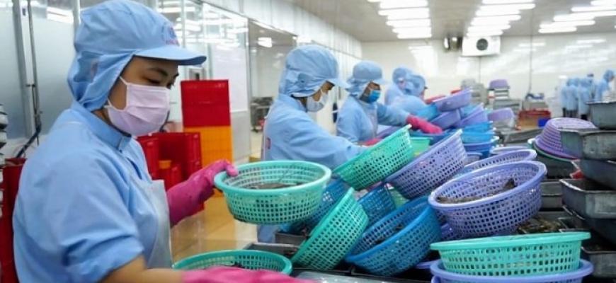 Seafood exports in 2021 reach over 8.9 billion USD