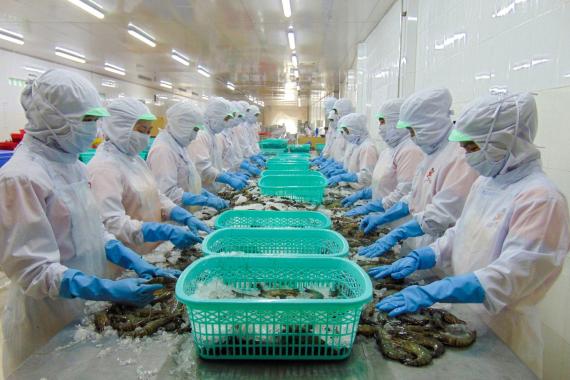 Sao Ta President: Vietnam's shrimp exports in 2025 can reach $5.6 billion, up 9% per year