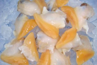 COOKED YELLOW CLAM MEAT